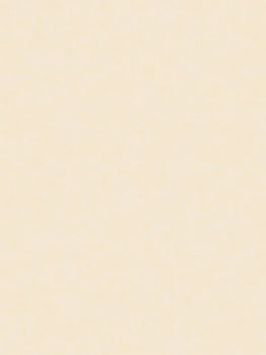NP11 002