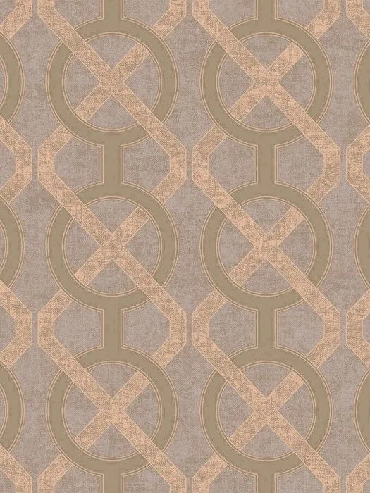 NEO1 221