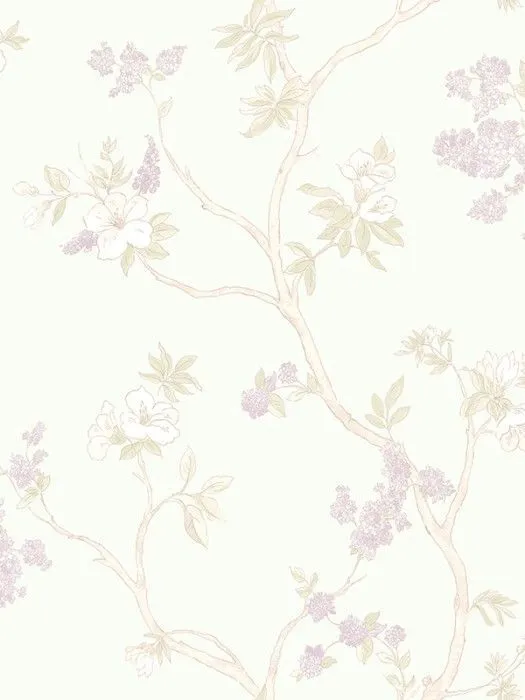 NP1 006-1