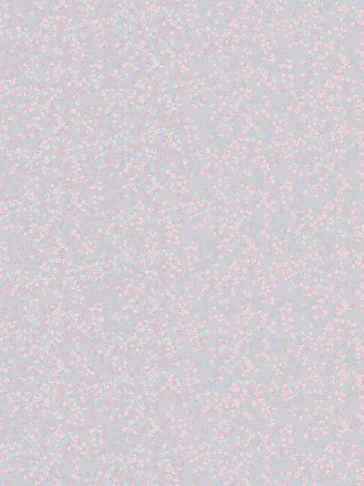 MR2 006