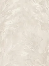 R217102