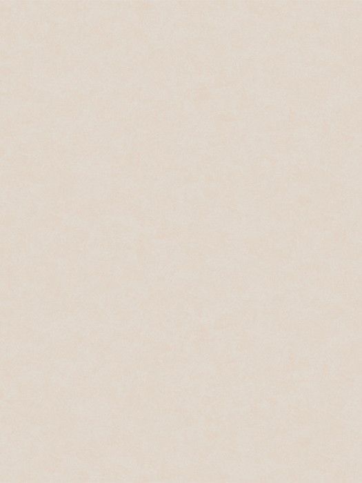 NP11 008