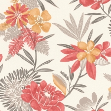 794243
