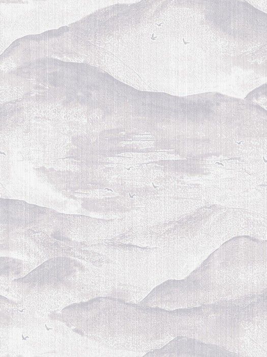 AM1 001