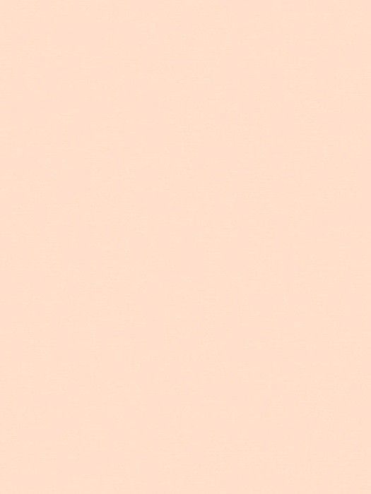BST10 003